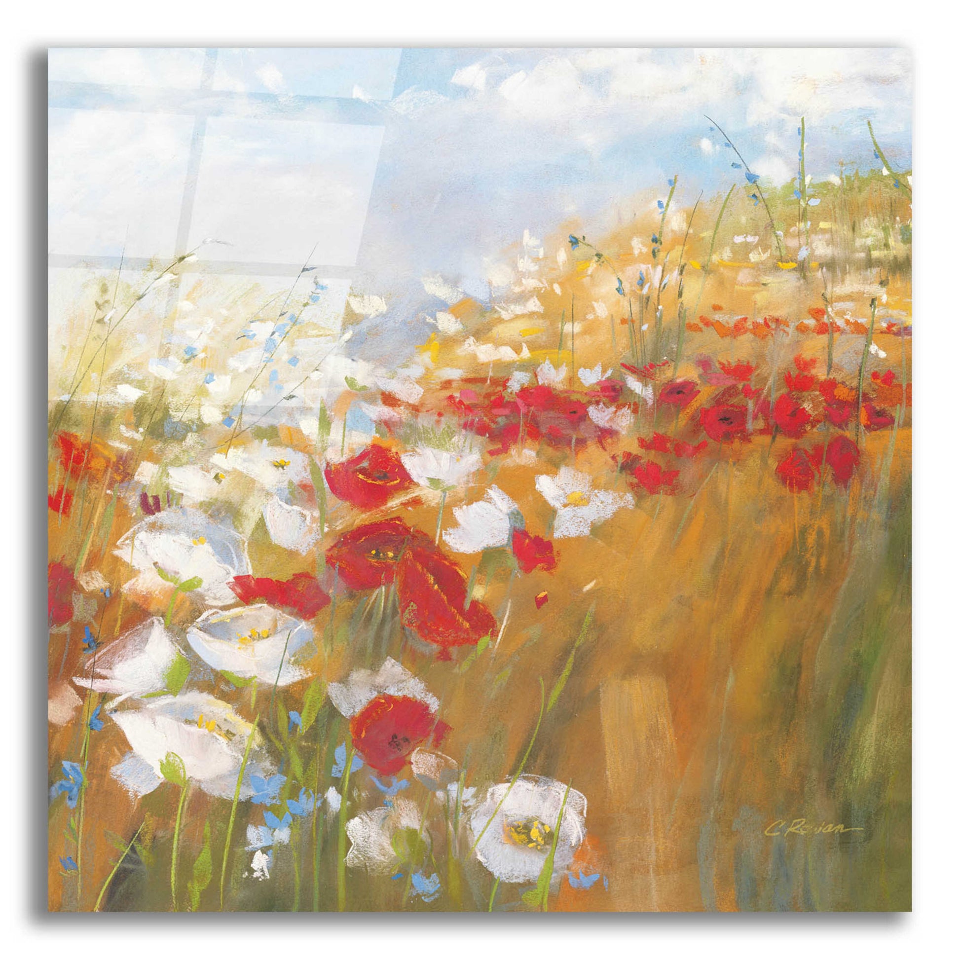 Epic Art 'Poppies And Larkspur II' by Carol Rowan, Acrylic Glass Wall Art