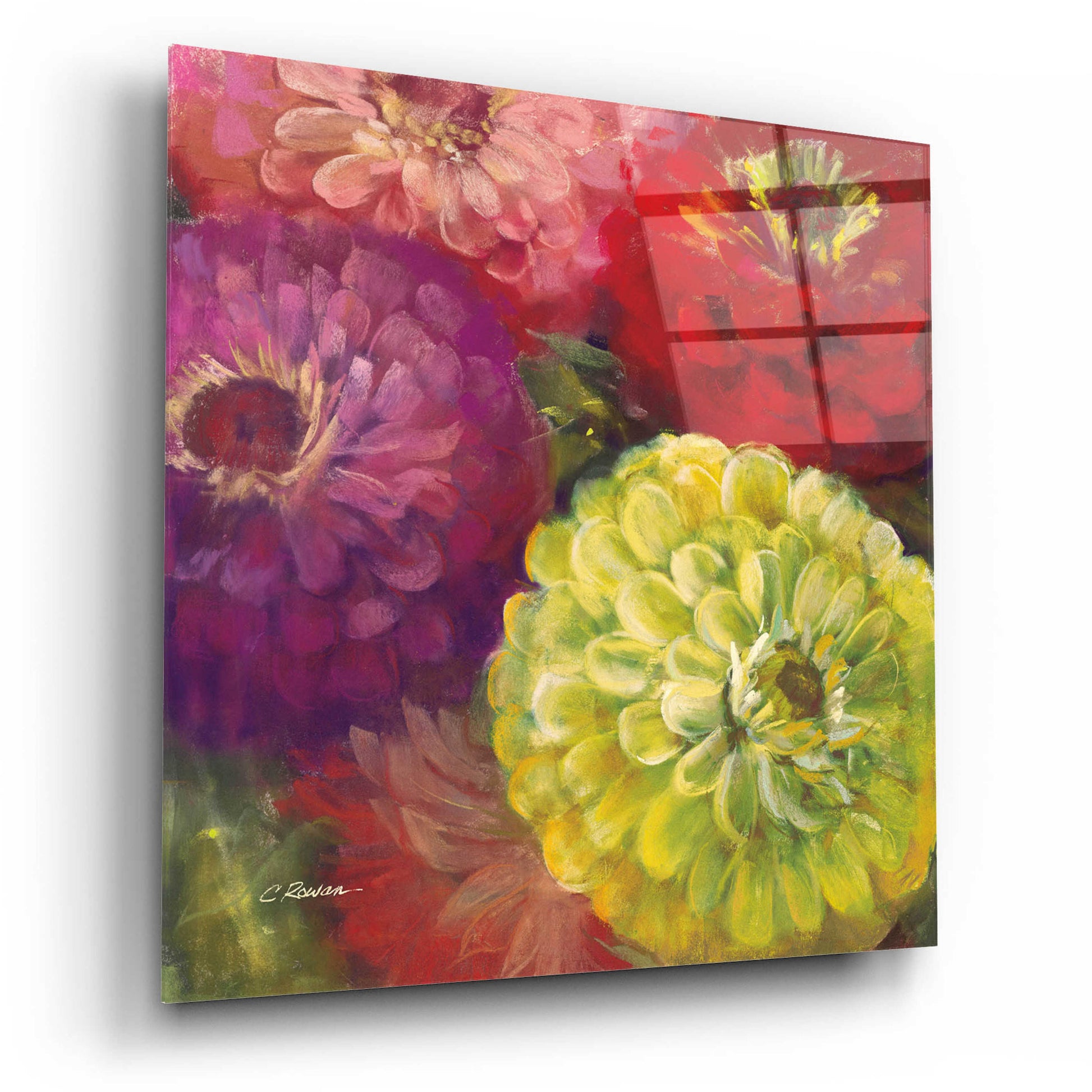 Epic Art 'Zinnia Gala I' by Carol Rowan, Acrylic Glass Wall Art,12x12