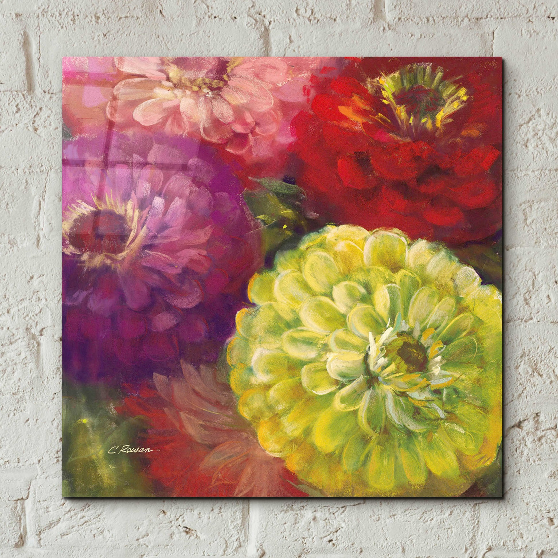 Epic Art 'Zinnia Gala I' by Carol Rowan, Acrylic Glass Wall Art,12x12