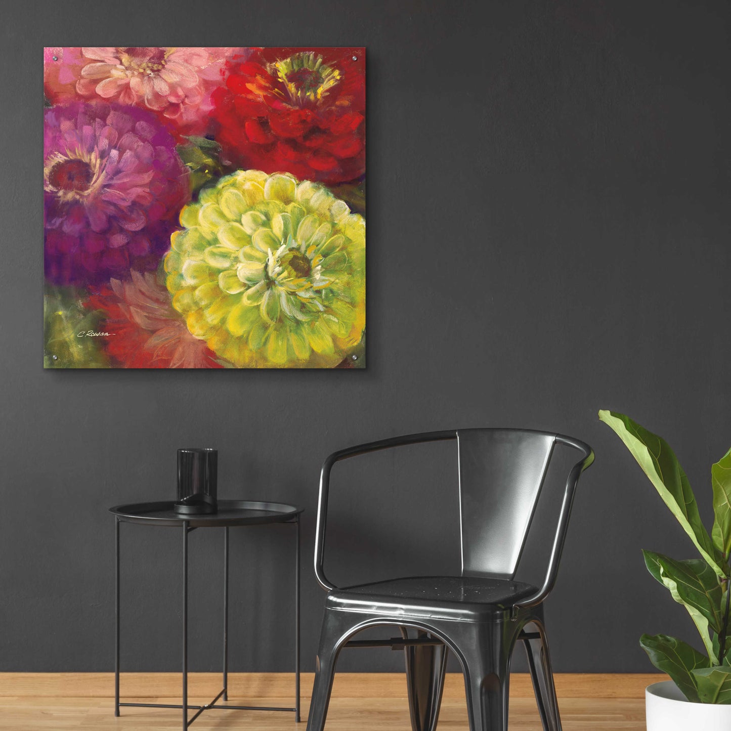 Epic Art 'Zinnia Gala I' by Carol Rowan, Acrylic Glass Wall Art,36x36