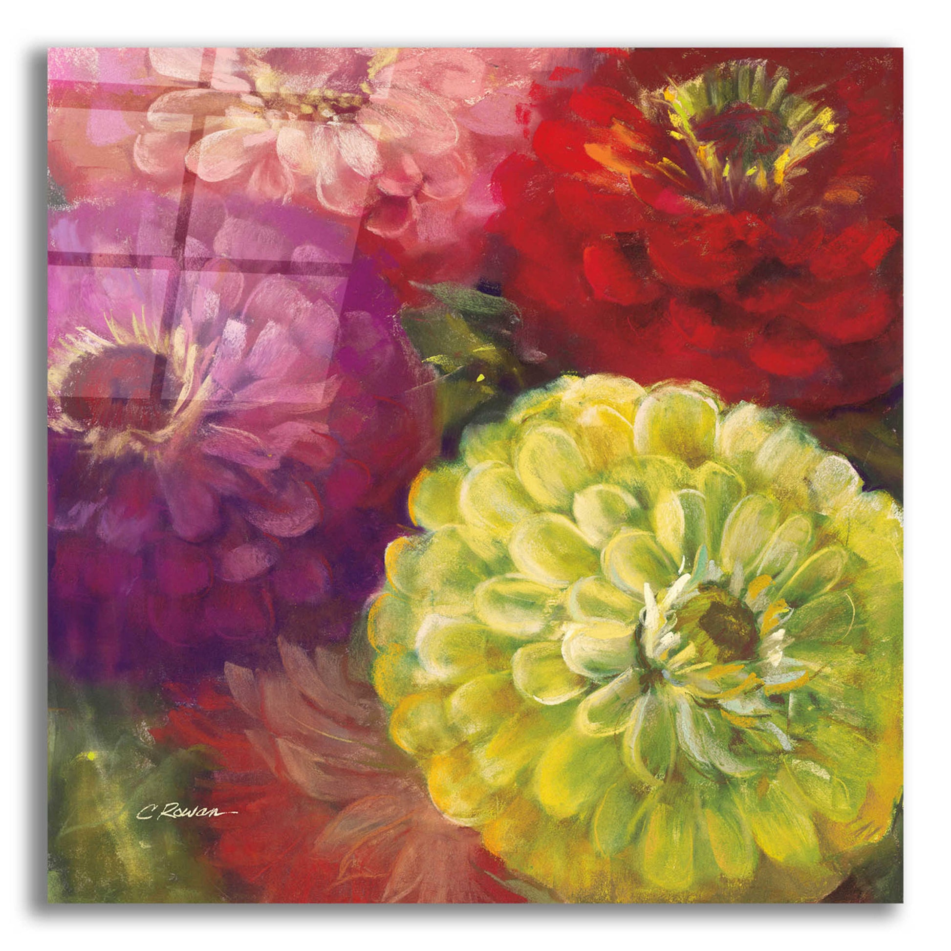 Epic Art 'Zinnia Gala I' by Carol Rowan, Acrylic Glass Wall Art