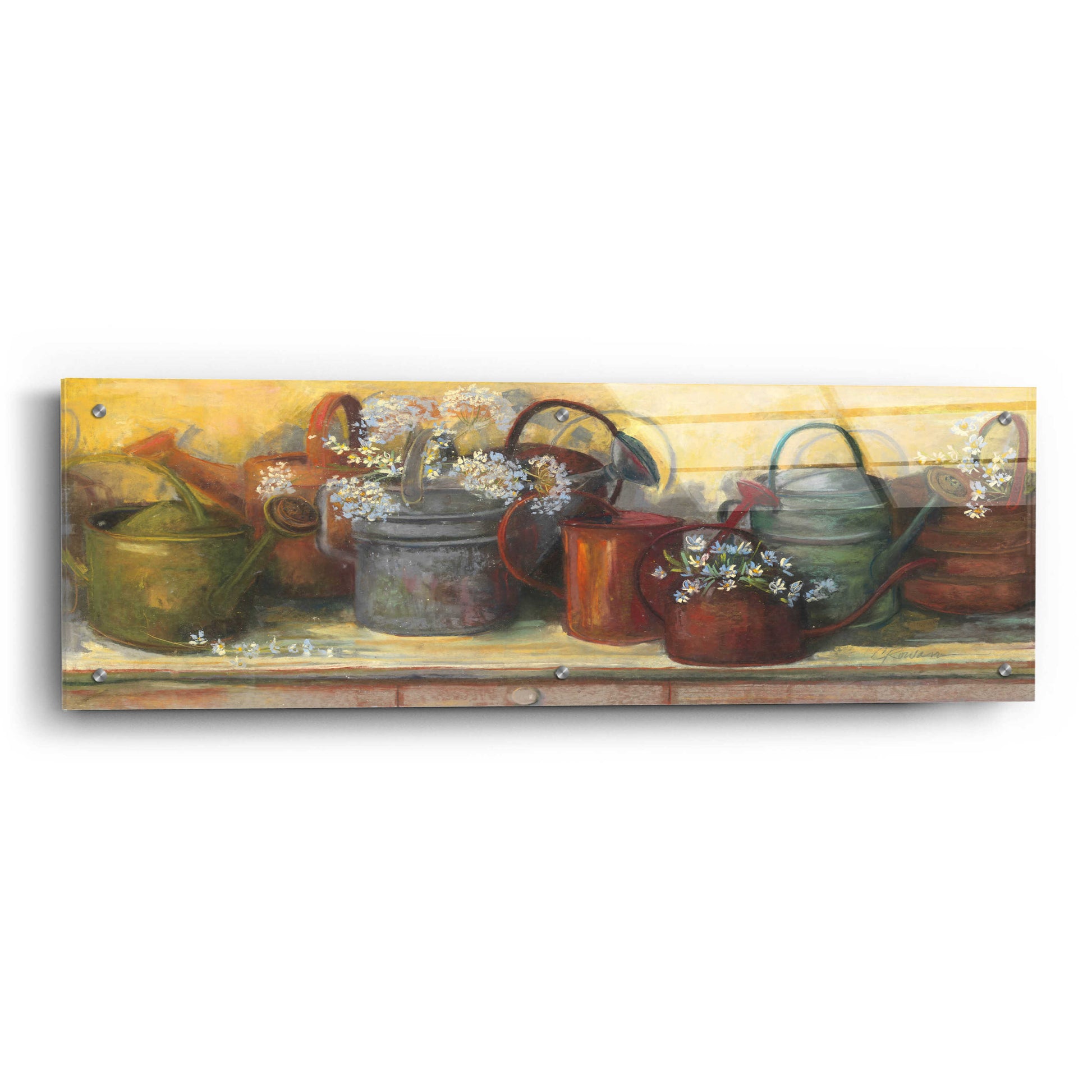 Epic Art 'Watering Cans' by Carol Rowan, Acrylic Glass Wall Art,36x12