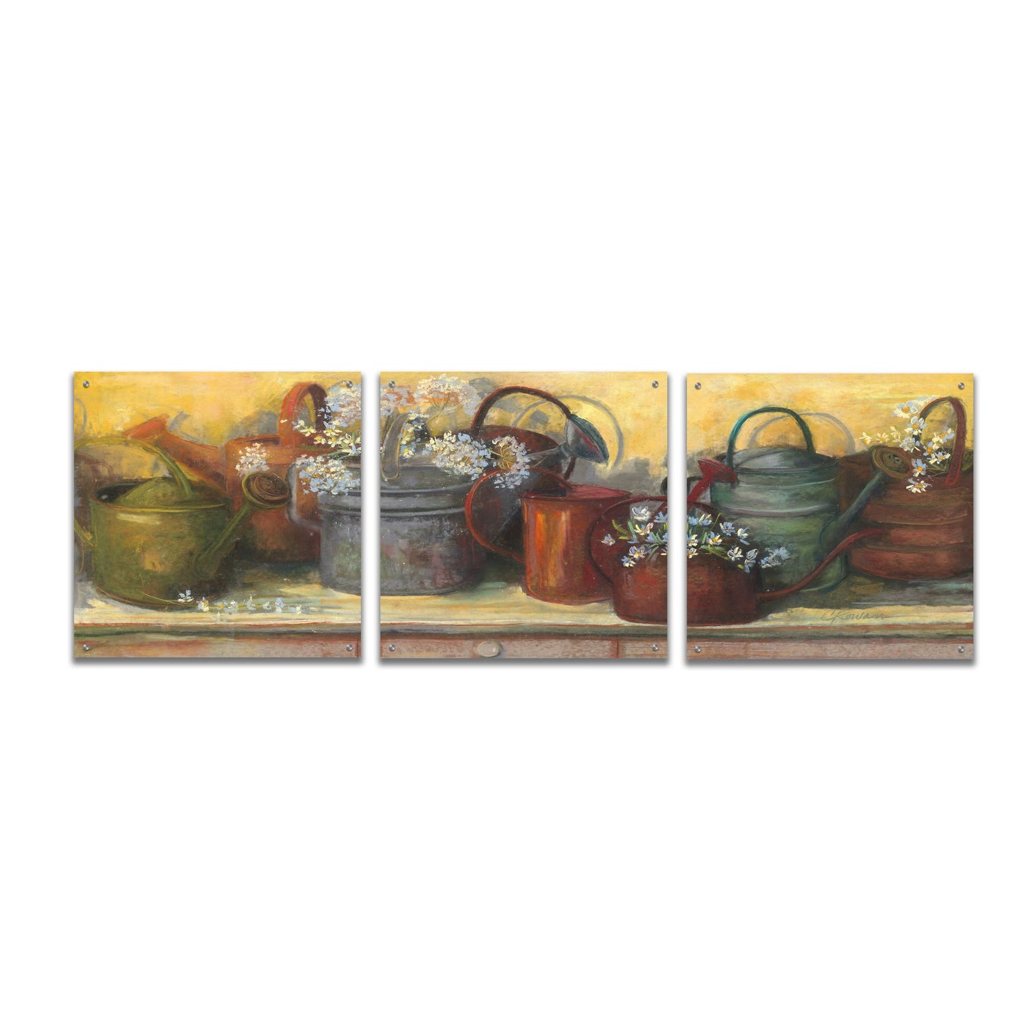 Epic Art 'Watering Cans' by Carol Rowan, Acrylic Glass Wall Art, 3 Piece Set