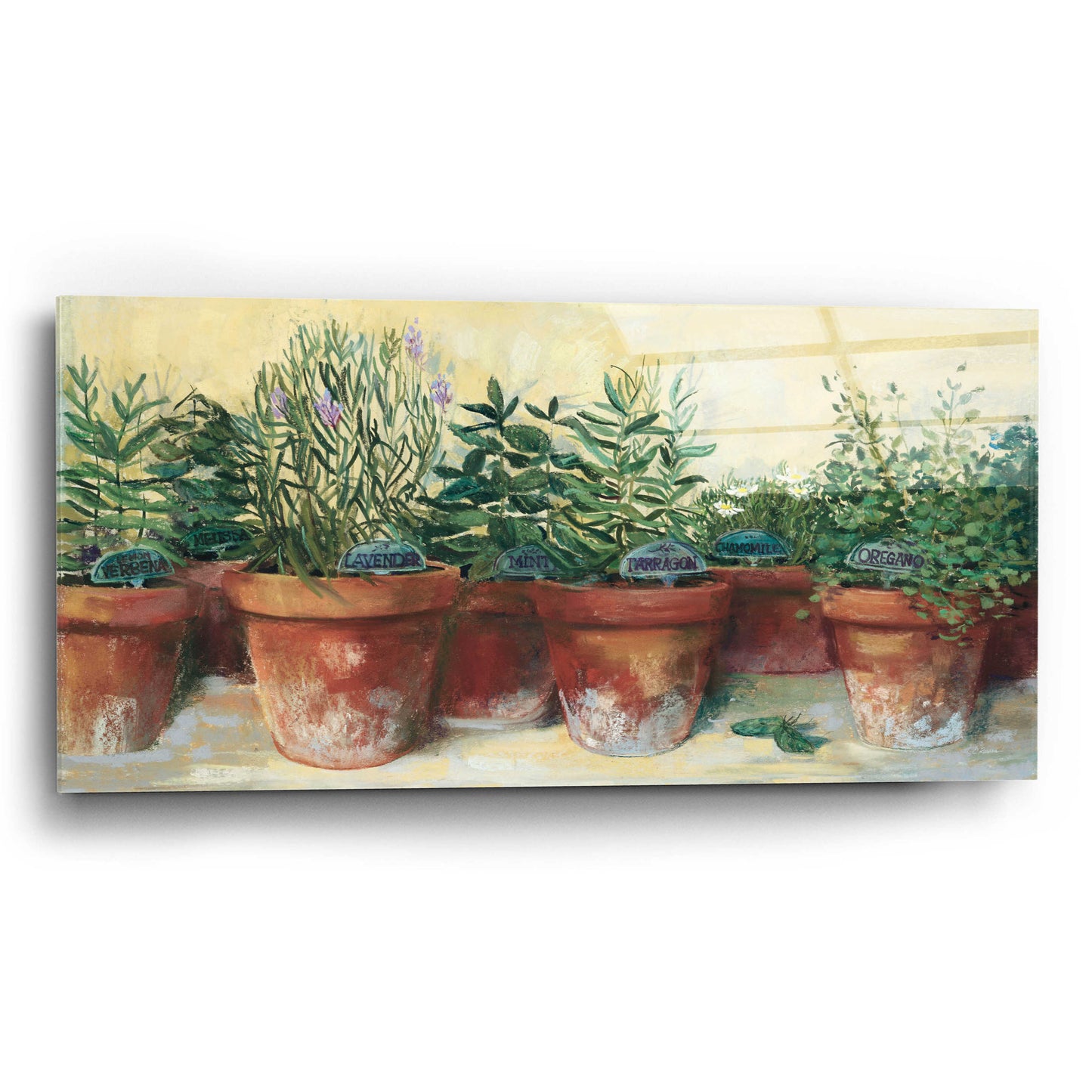 Epic Art 'Potted Herbs I' by Carol Rowan, Acrylic Glass Wall Art,24x12