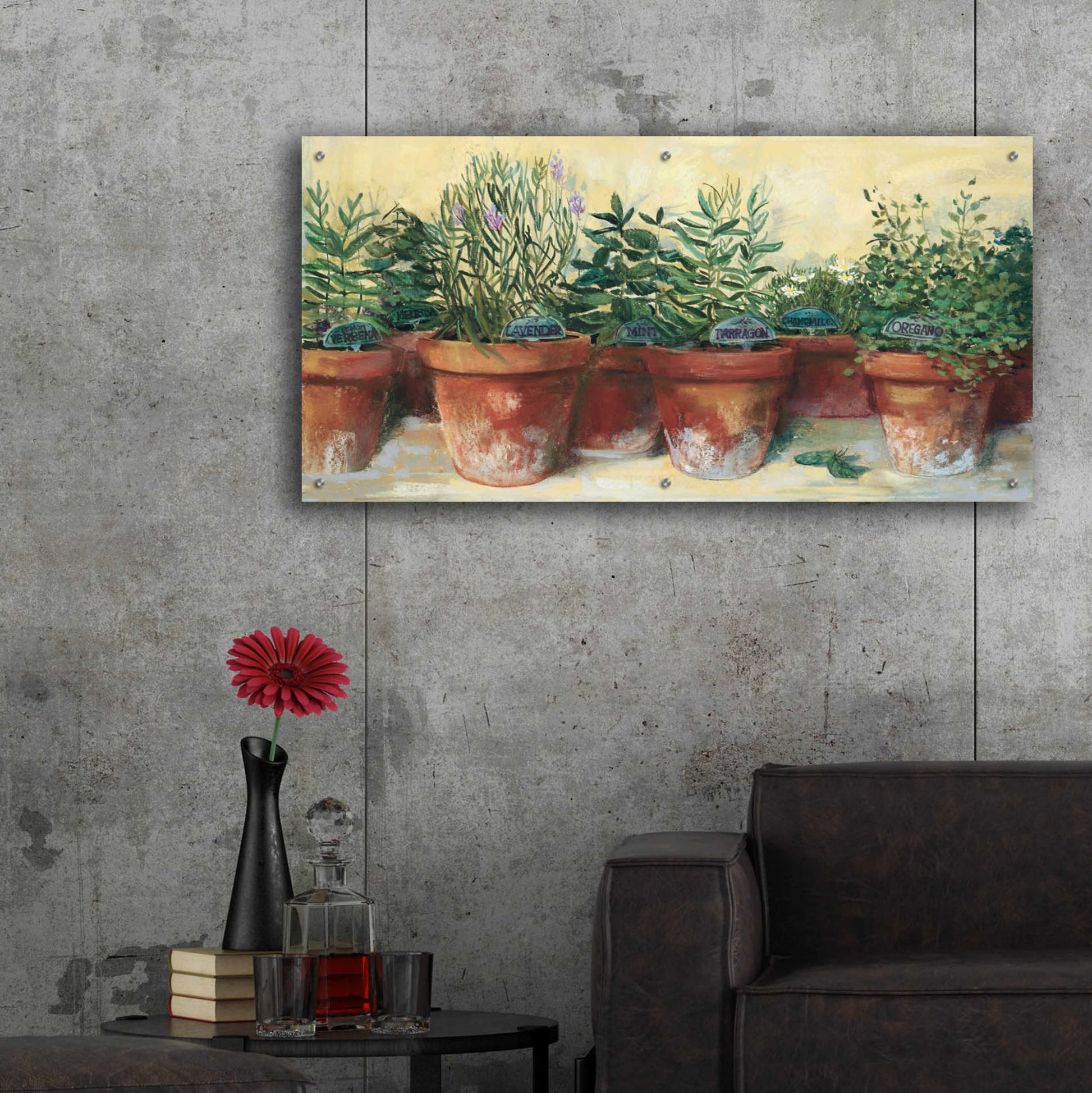 Epic Art 'Potted Herbs I' by Carol Rowan, Acrylic Glass Wall Art,48x24