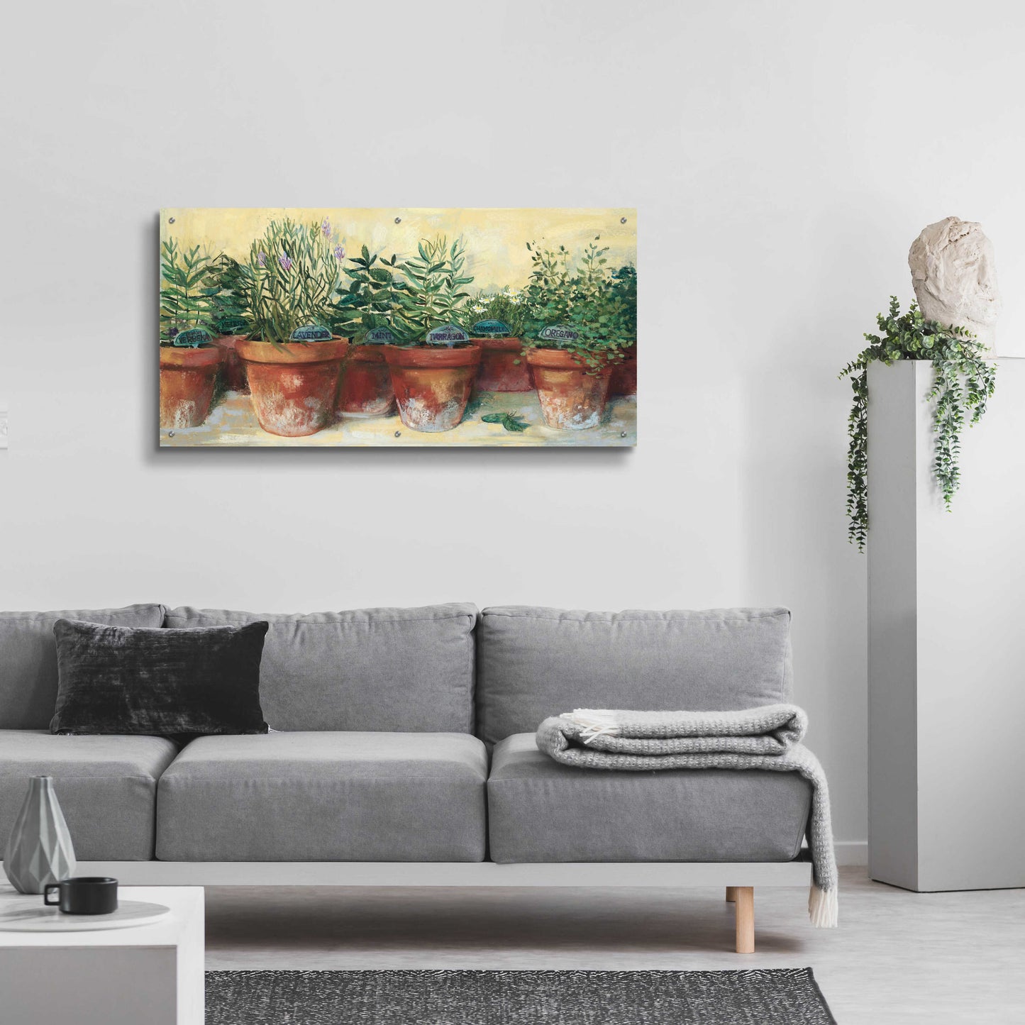 Epic Art 'Potted Herbs I' by Carol Rowan, Acrylic Glass Wall Art,48x24