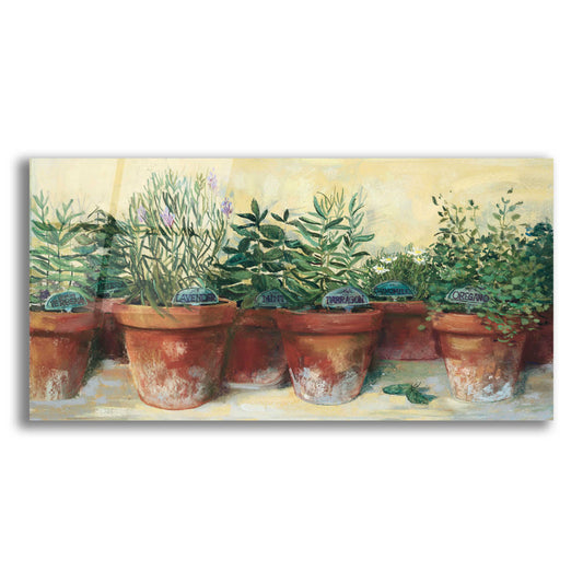 Epic Art 'Potted Herbs I' by Carol Rowan, Acrylic Glass Wall Art