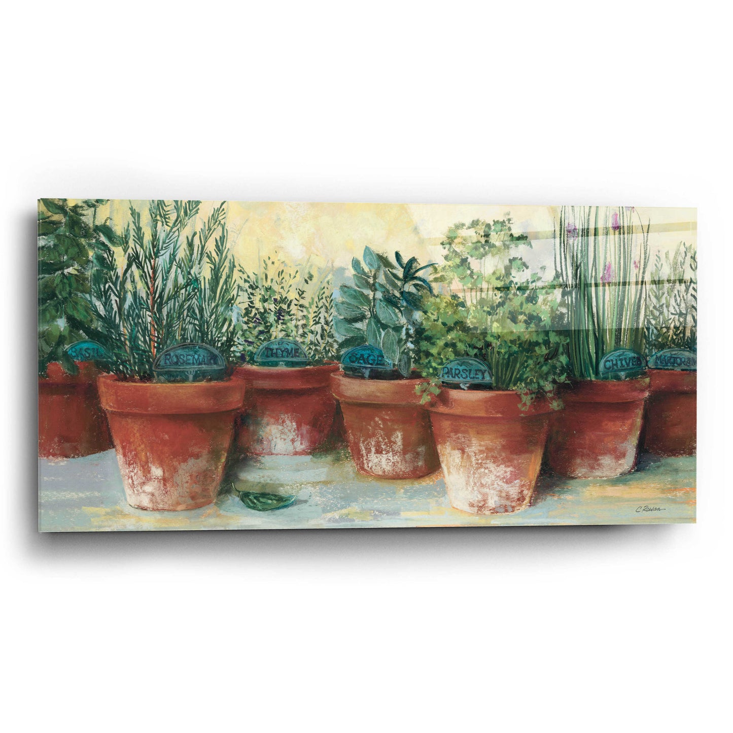 Epic Art 'Potted Herbs II' by Carol Rowan, Acrylic Glass Wall Art,24x12