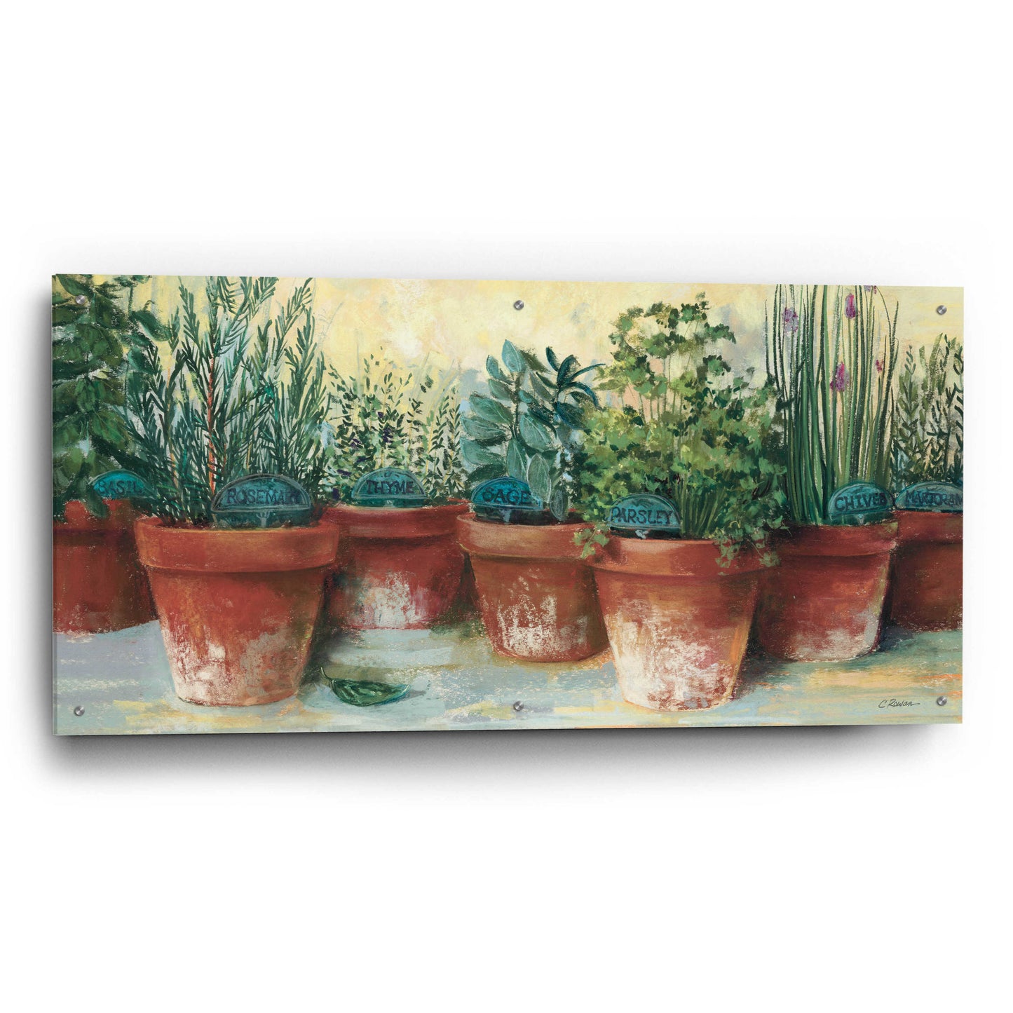 Epic Art 'Potted Herbs II' by Carol Rowan, Acrylic Glass Wall Art,48x24