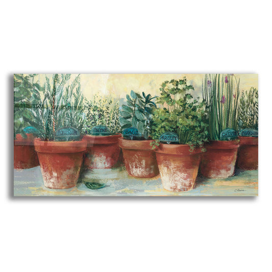 Epic Art 'Potted Herbs II' by Carol Rowan, Acrylic Glass Wall Art