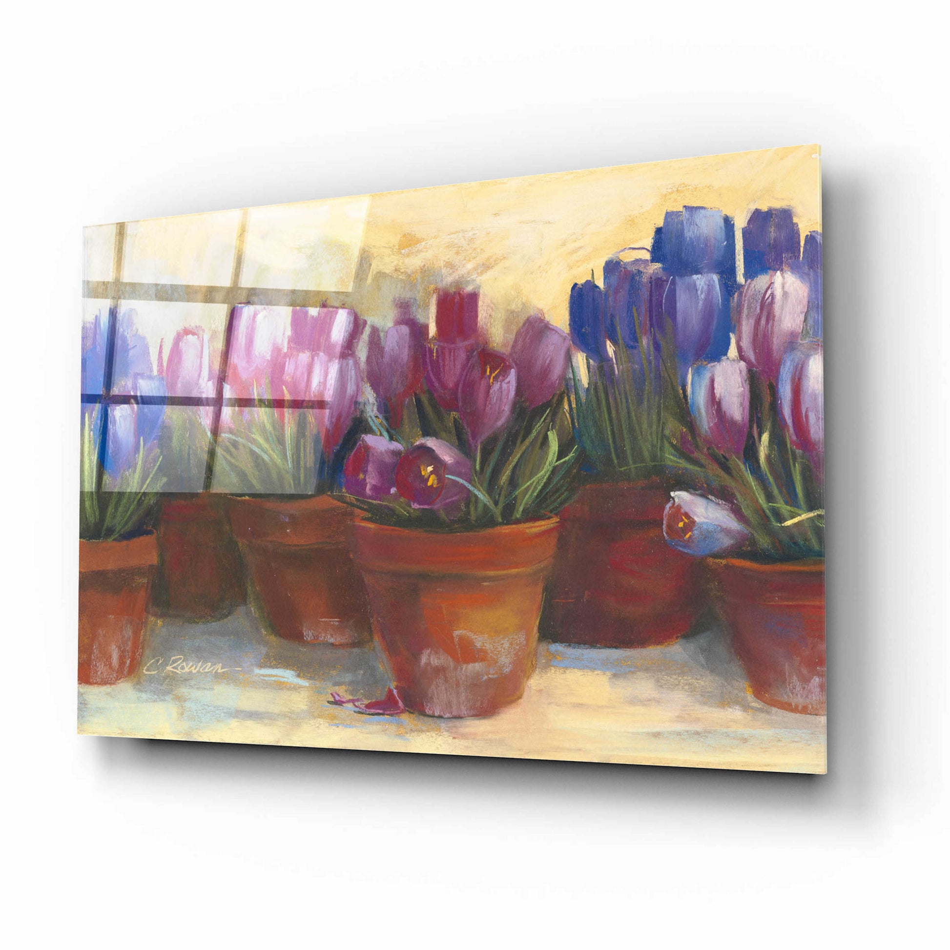 Epic Art 'Spring Crocus' by Carol Rowan, Acrylic Glass Wall Art,16x12