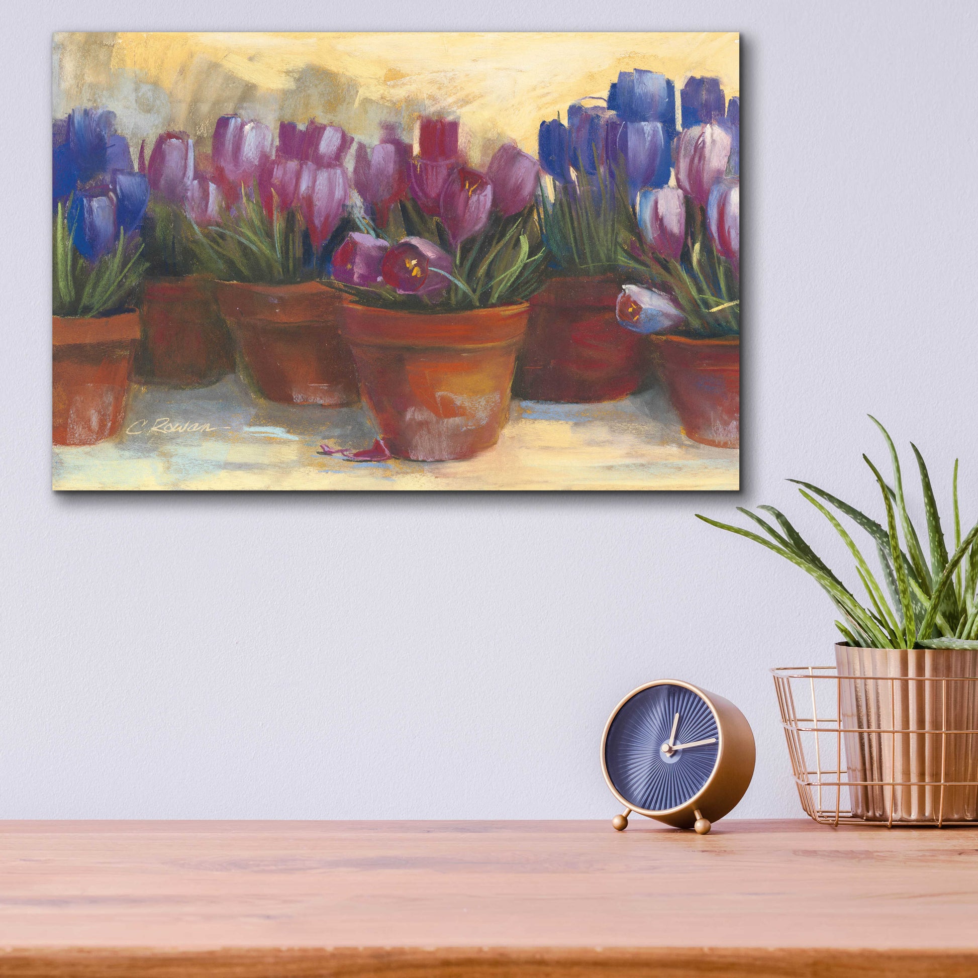 Epic Art 'Spring Crocus' by Carol Rowan, Acrylic Glass Wall Art,16x12