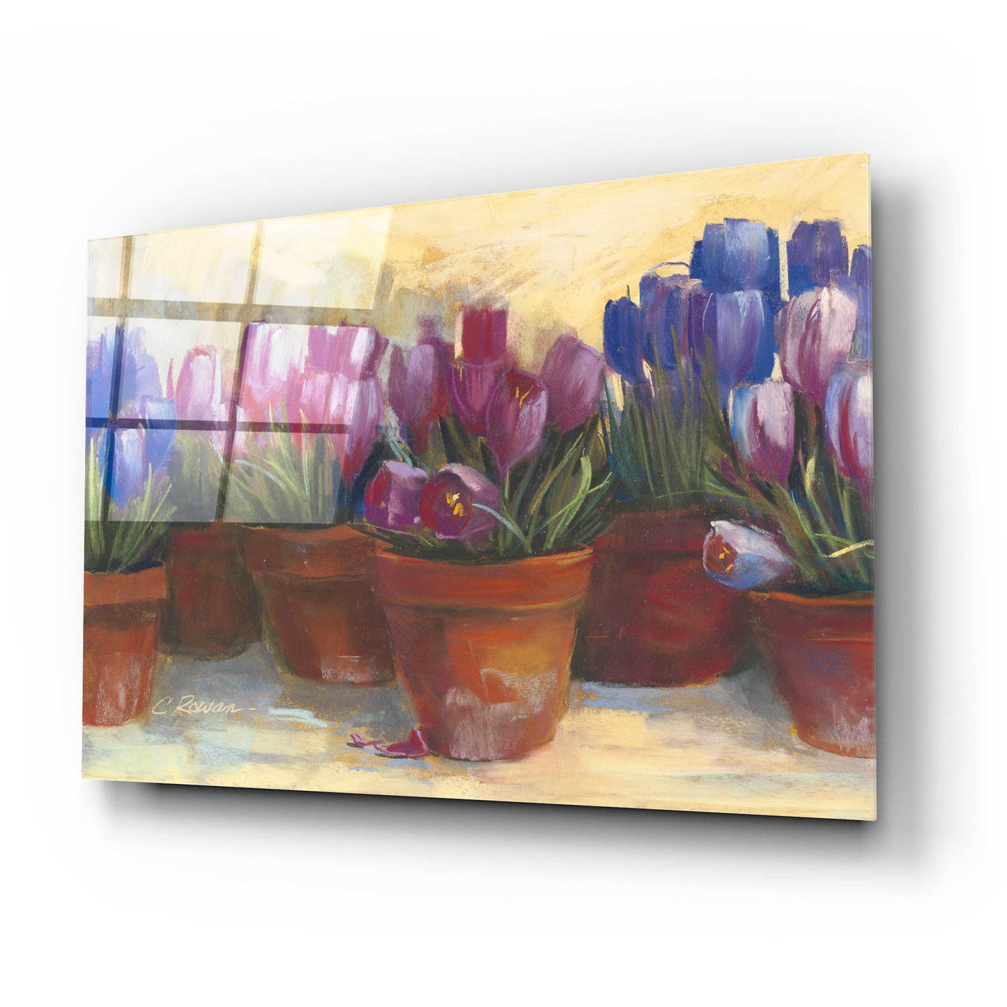 Epic Art 'Spring Crocus' by Carol Rowan, Acrylic Glass Wall Art,24x16