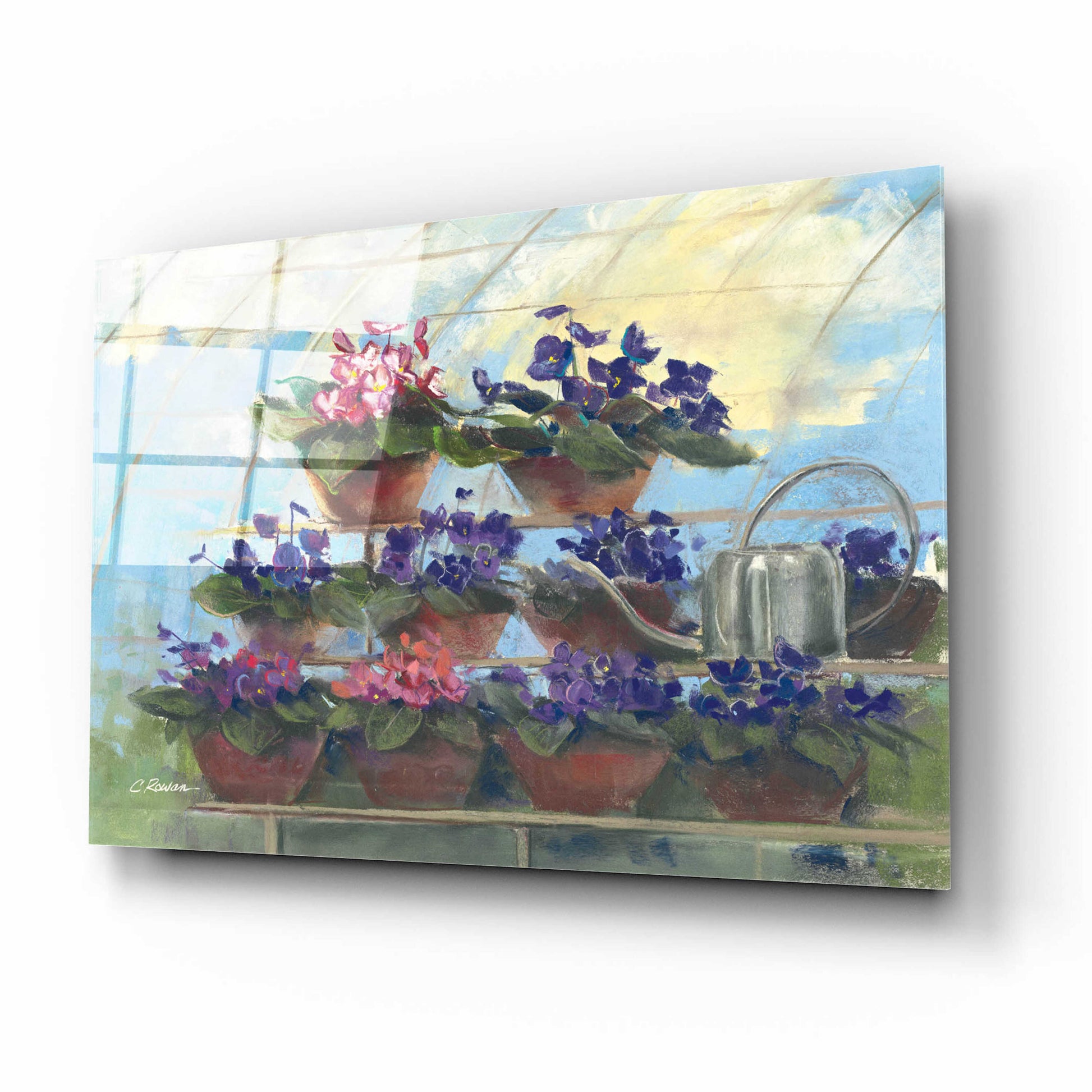 Epic Art 'Violets' by Carol Rowan, Acrylic Glass Wall Art,16x12