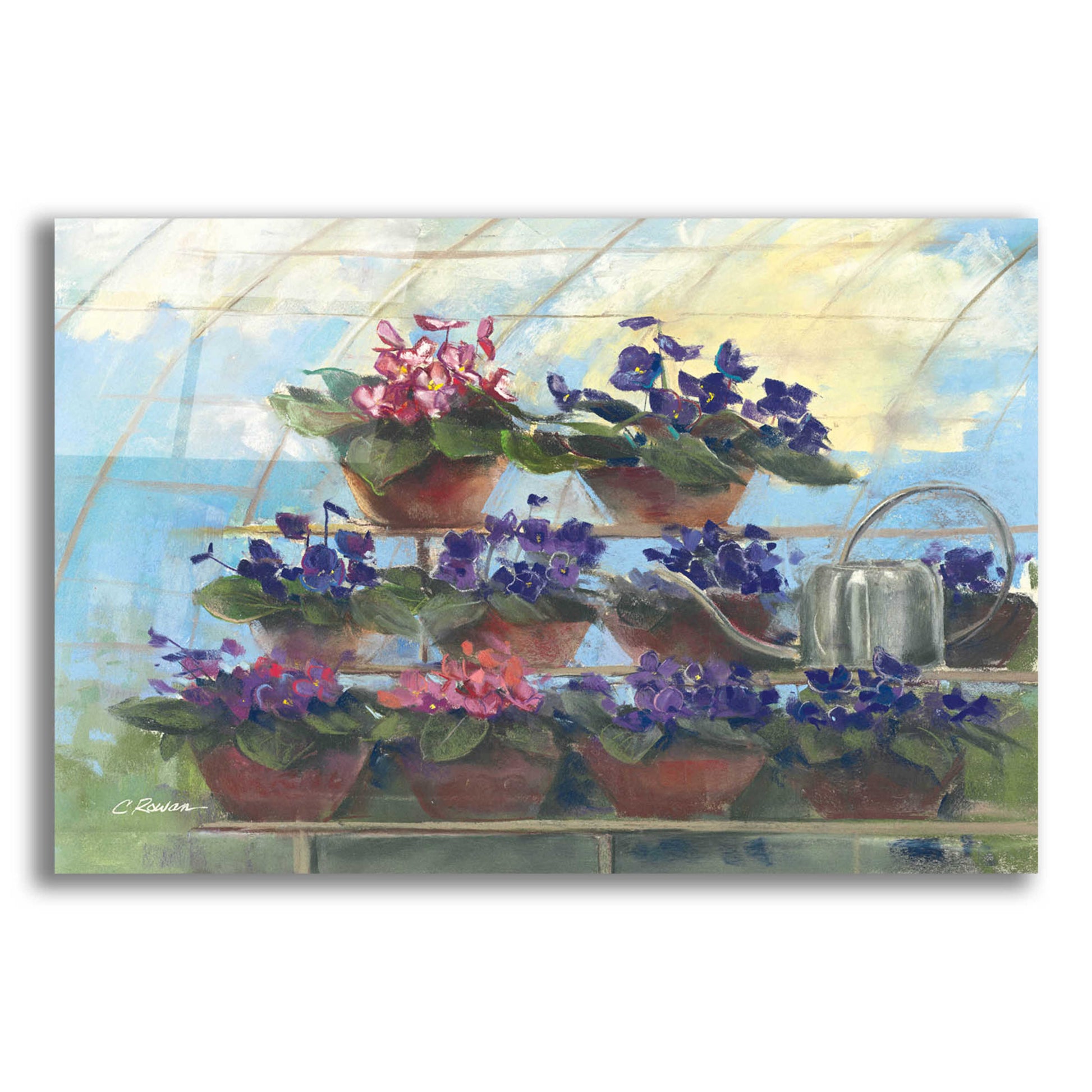 Epic Art 'Violets' by Carol Rowan, Acrylic Glass Wall Art,24x16