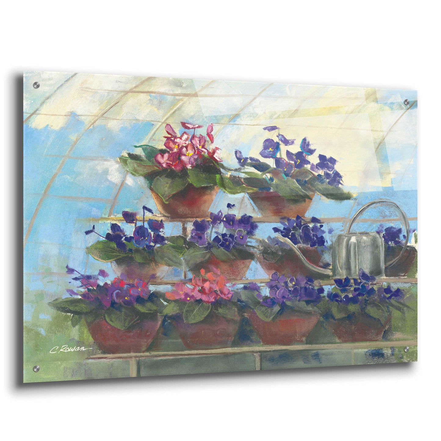 Epic Art 'Violets' by Carol Rowan, Acrylic Glass Wall Art,36x24