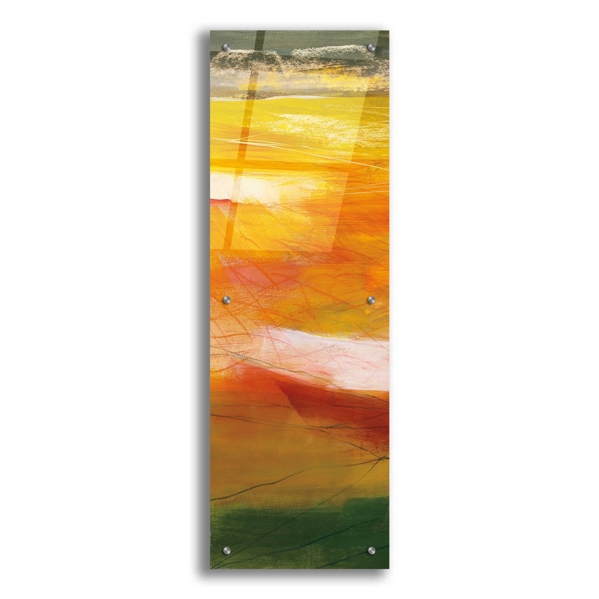 Epic Art 'Bog Journey II V2' by Jo Maye, Acrylic Glass Wall Art,12x36