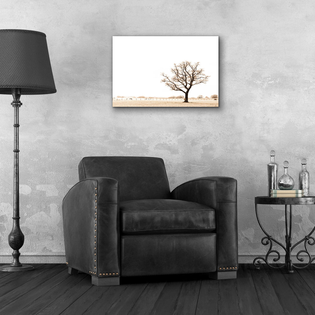 Epic Art 'Bleached Bones Of Winter' by Keri Bevan, Acrylic Glass Wall Art,24x16