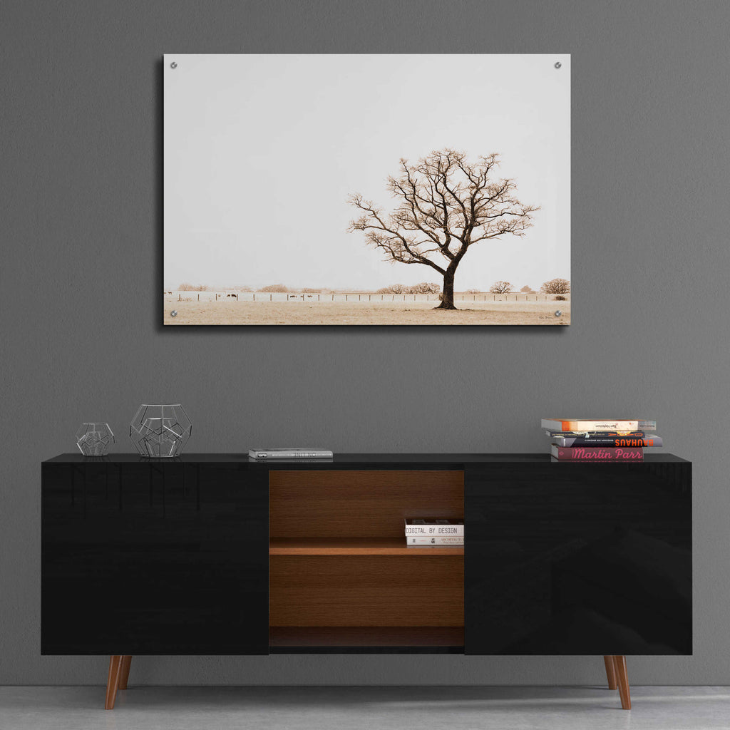 Epic Art 'Bleached Bones Of Winter' by Keri Bevan, Acrylic Glass Wall Art,36x24