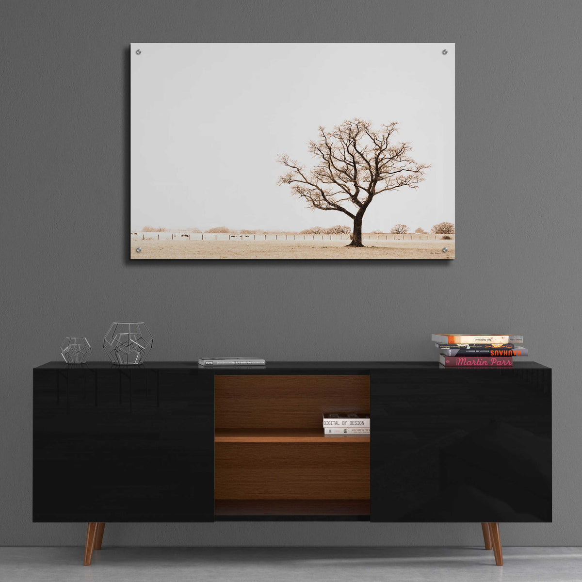 Epic Art 'Bleached Bones Of Winter' by Keri Bevan, Acrylic Glass Wall Art,36x24