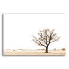 Epic Art 'Bleached Bones Of Winter' by Keri Bevan, Acrylic Glass Wall Art
