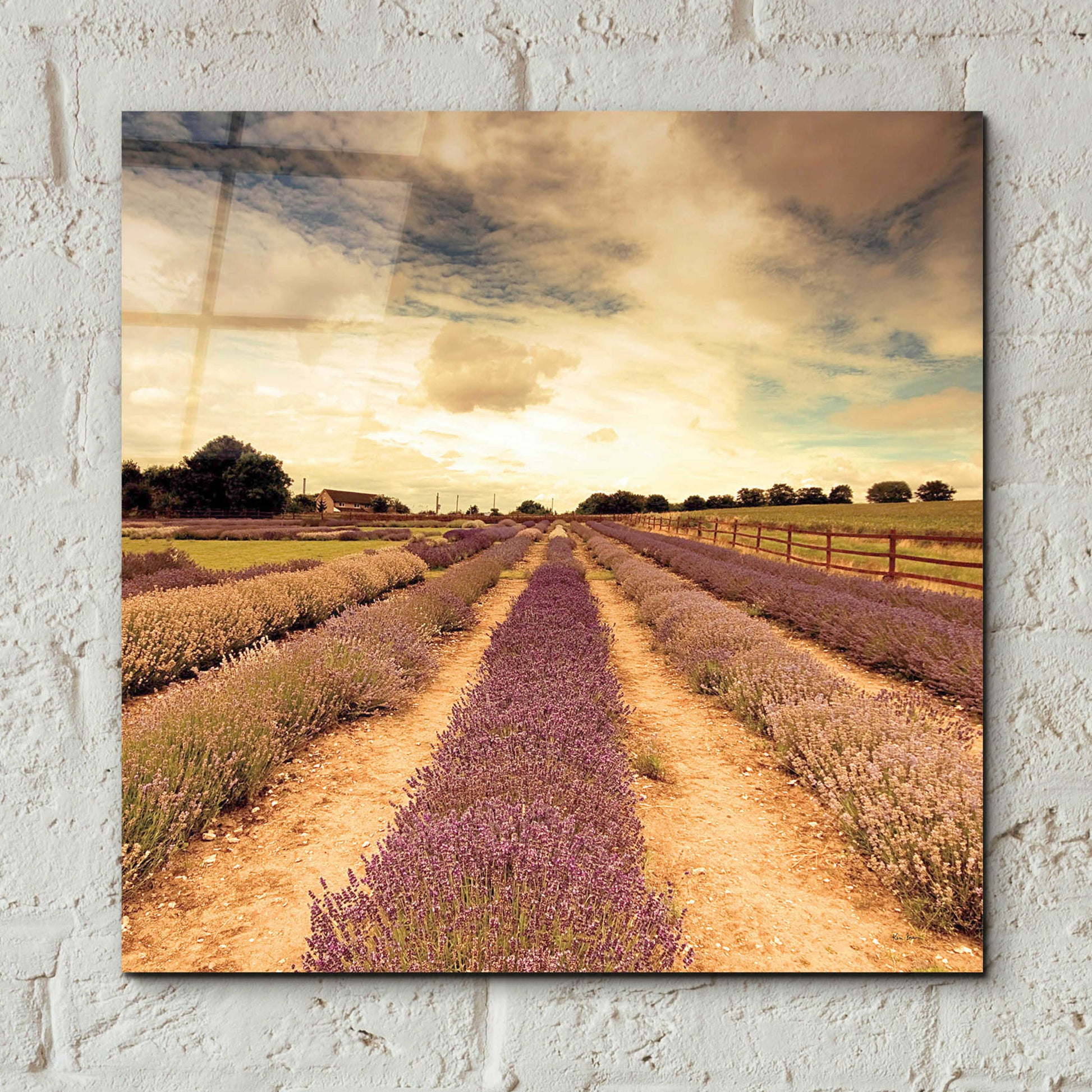 Epic Art 'Lavender Fields Forever' by Keri Bevan, Acrylic Glass Wall Art,12x12