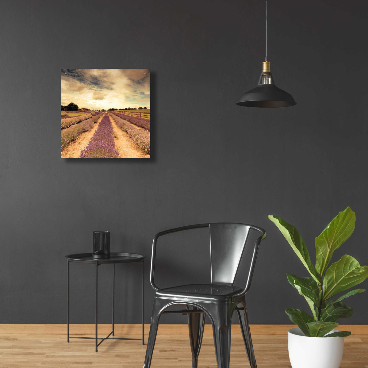 Epic Art 'Lavender Fields Forever' by Keri Bevan, Acrylic Glass Wall Art,24x24