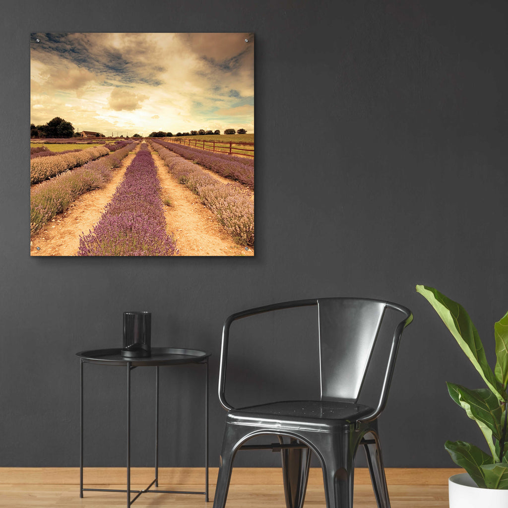 Epic Art 'Lavender Fields Forever' by Keri Bevan, Acrylic Glass Wall Art,36x36