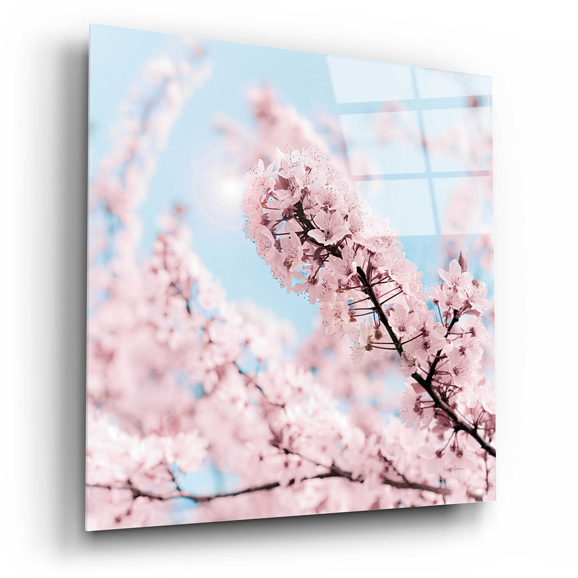 Epic Art 'Cherry Blossom Clouds' by Keri Bevan, Acrylic Glass Wall Art,12x12