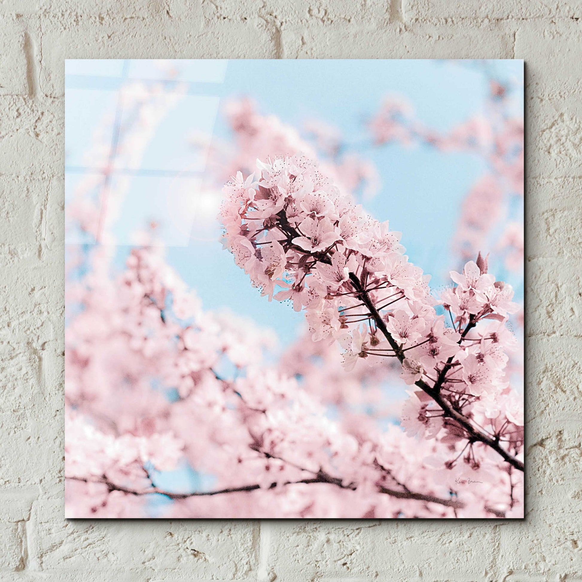 Epic Art 'Cherry Blossom Clouds' by Keri Bevan, Acrylic Glass Wall Art,12x12