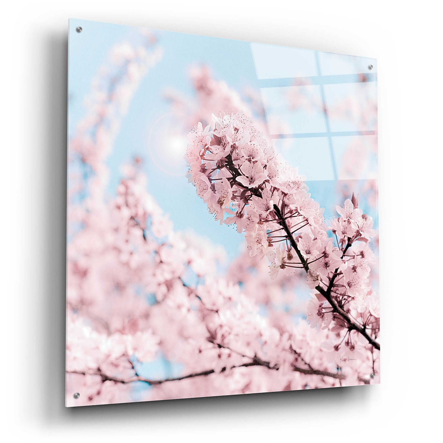 Epic Art 'Cherry Blossom Clouds' by Keri Bevan, Acrylic Glass Wall Art,36x36