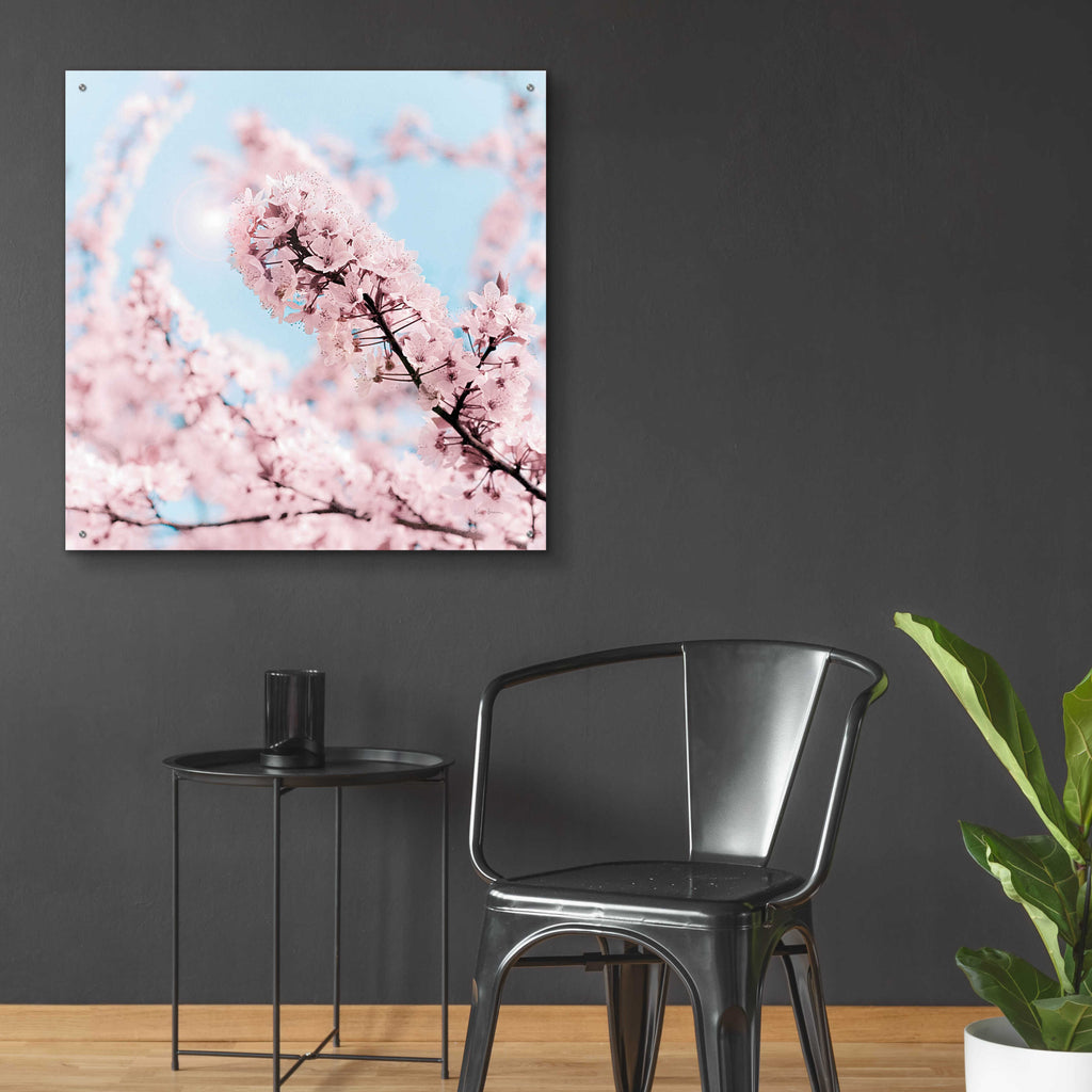 Epic Art 'Cherry Blossom Clouds' by Keri Bevan, Acrylic Glass Wall Art,36x36