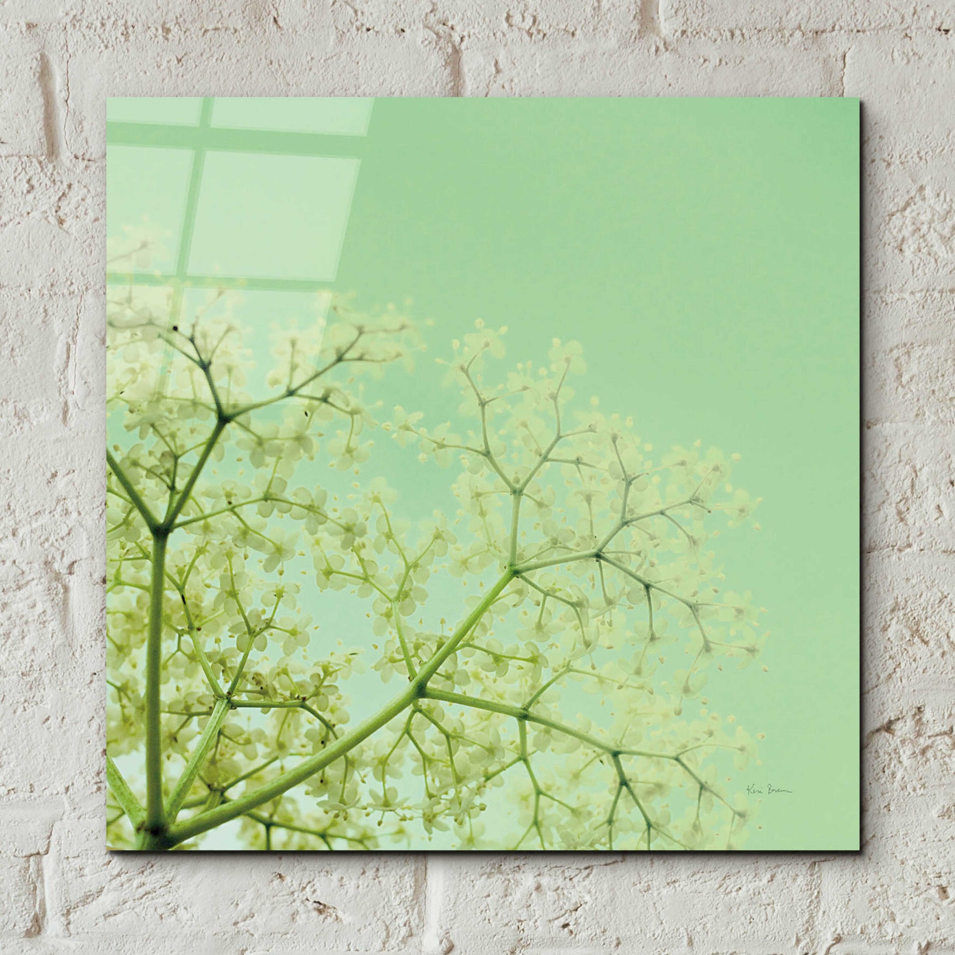 Epic Art 'Cuckoo Flowers' by Keri Bevan, Acrylic Glass Wall Art,12x12