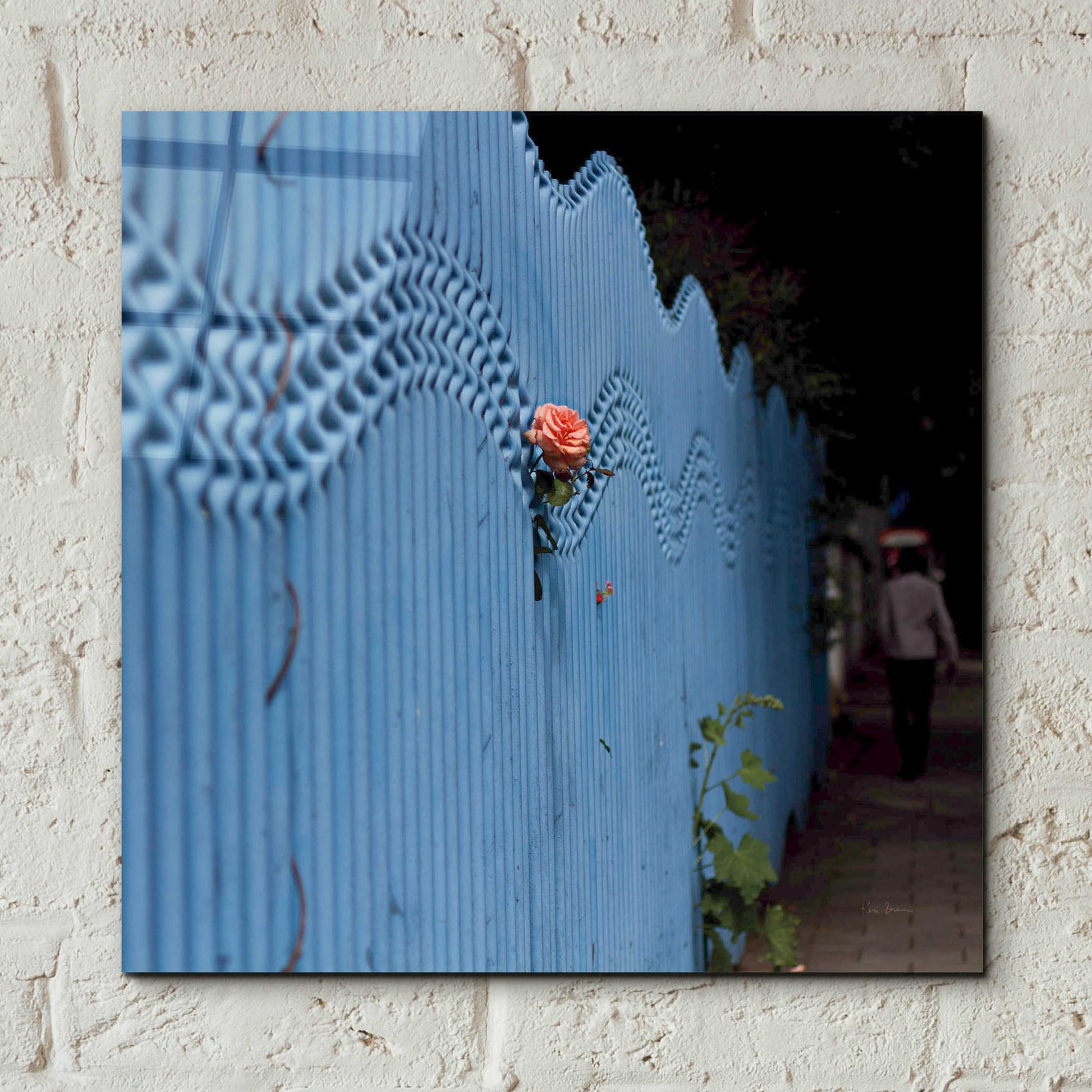 Epic Art 'Rose On Pentonville' by Keri Bevan, Acrylic Glass Wall Art,12x12