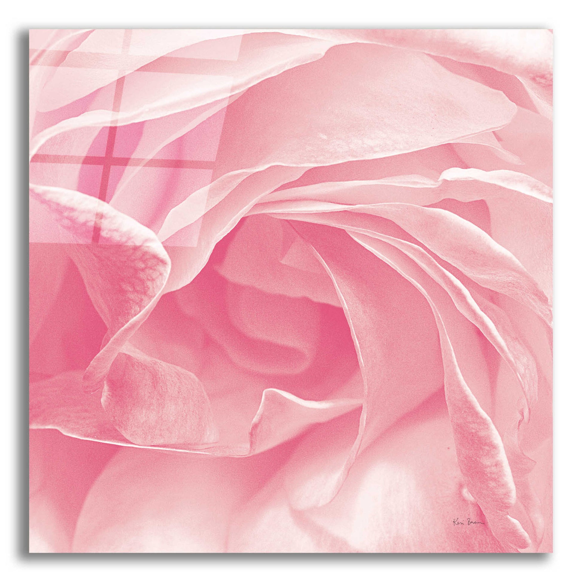 Epic Art 'Georgia Pink' by Keri Bevan, Acrylic Glass Wall Art,12x12