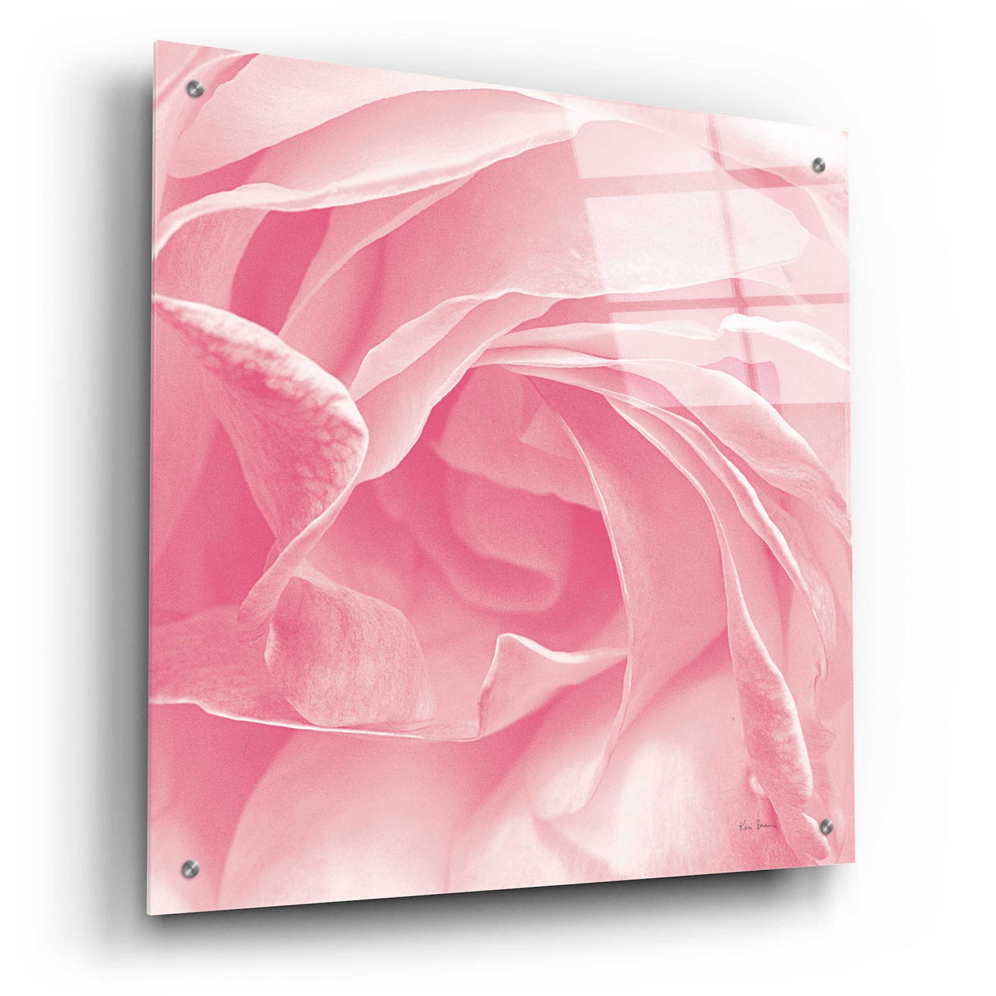 Epic Art 'Georgia Pink' by Keri Bevan, Acrylic Glass Wall Art,24x24