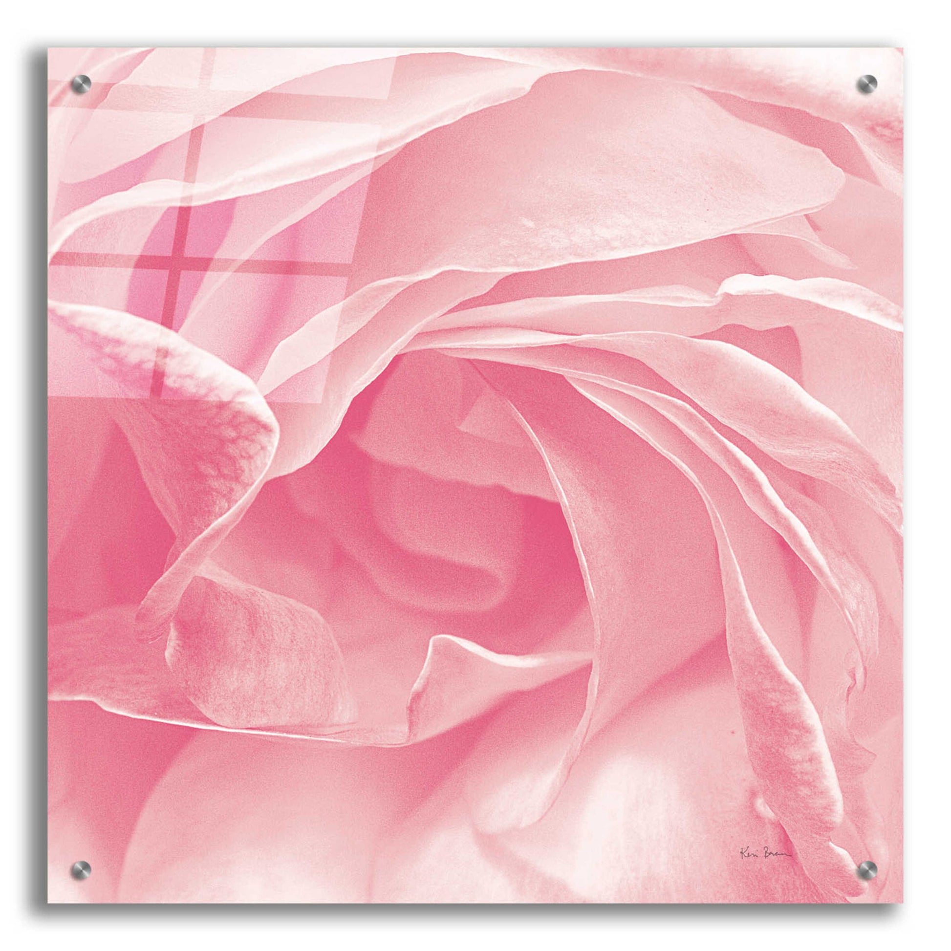 Epic Art 'Georgia Pink' by Keri Bevan, Acrylic Glass Wall Art,24x24