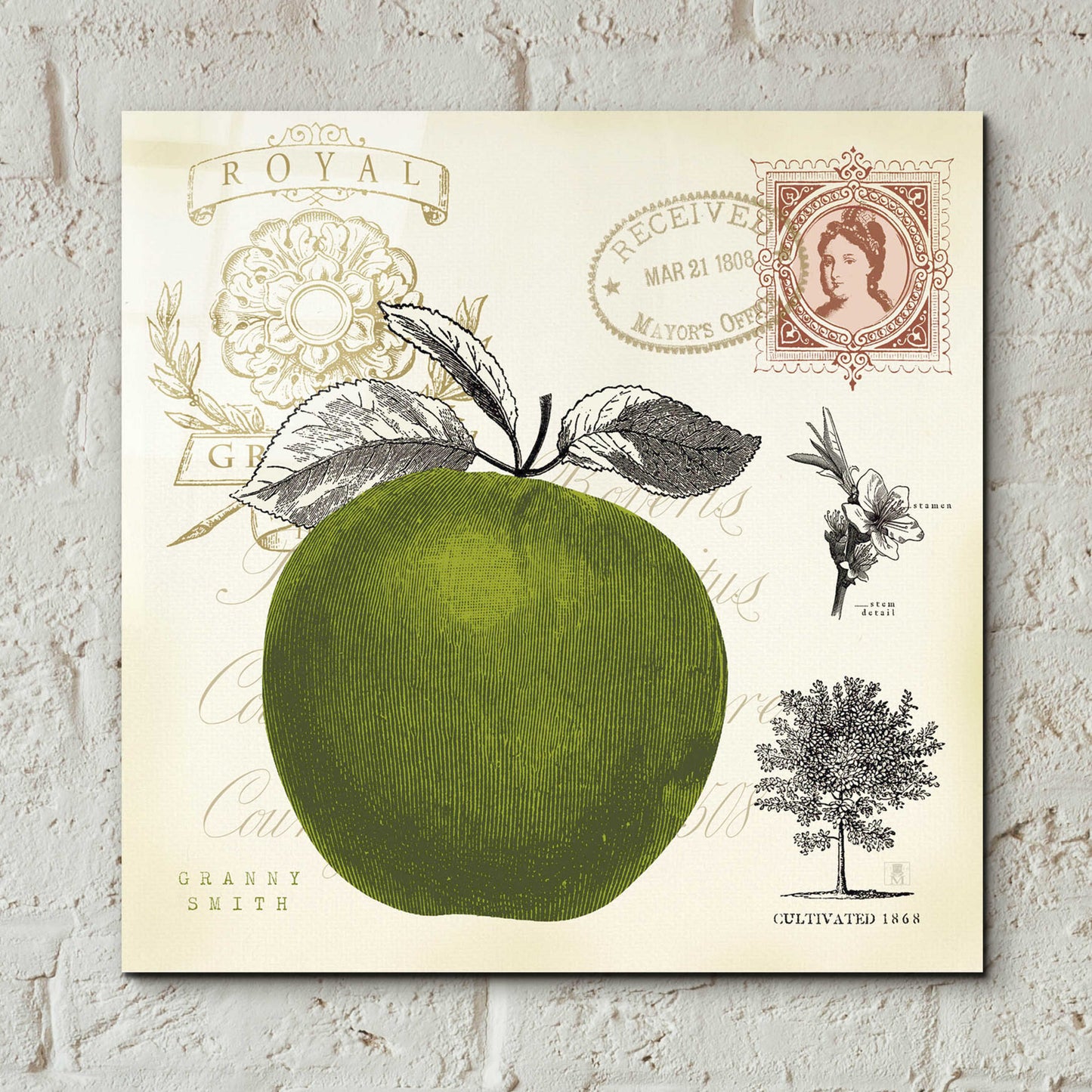 Epic Art 'Apple Notes' by Studio Mousseau, Acrylic Glass Wall Art,12x12