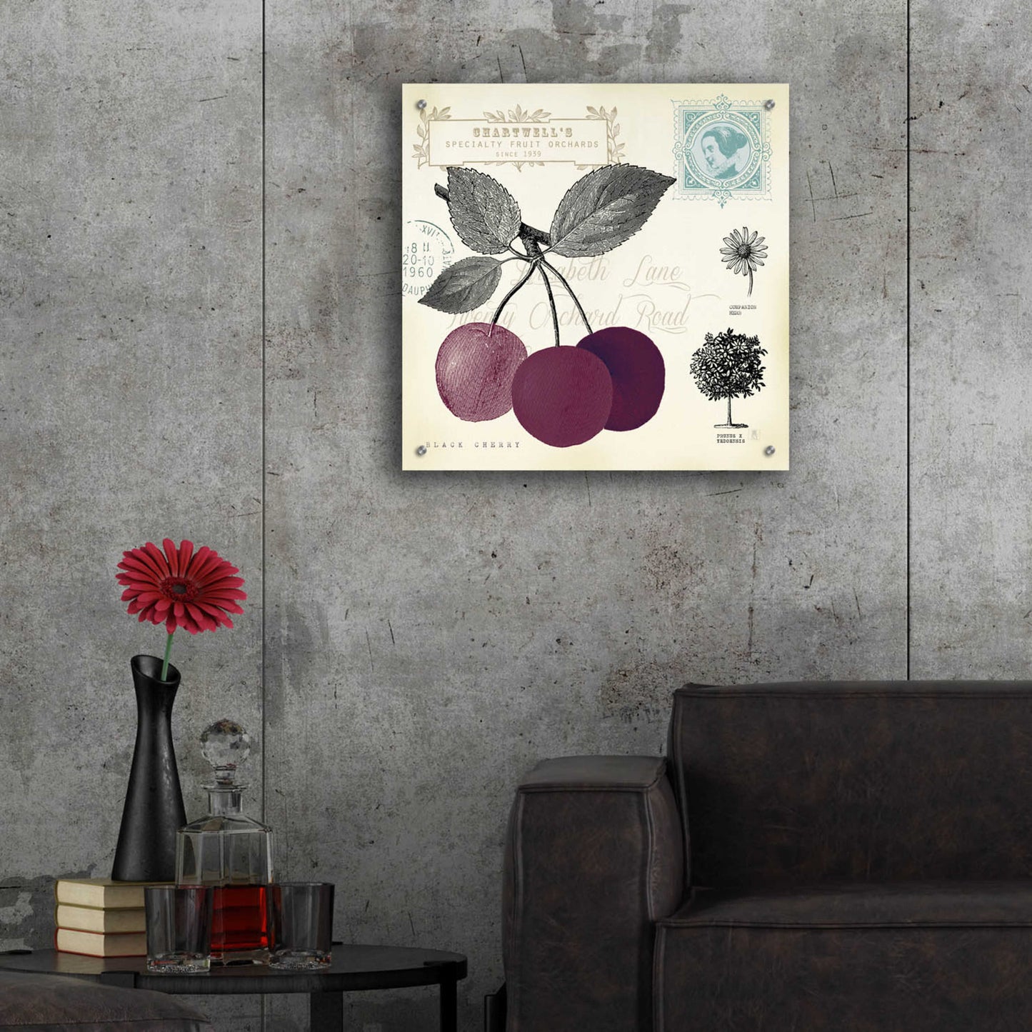 Epic Art 'Cherry Notes' by Studio Mousseau, Acrylic Glass Wall Art,24x24