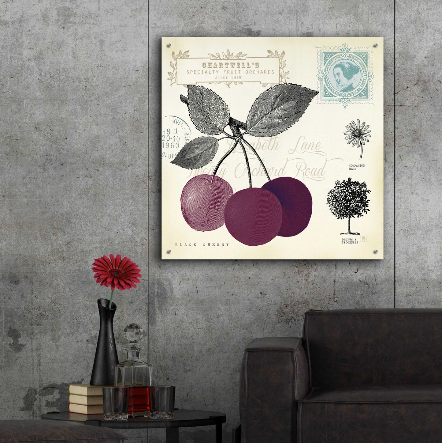 Epic Art 'Cherry Notes' by Studio Mousseau, Acrylic Glass Wall Art,36x36