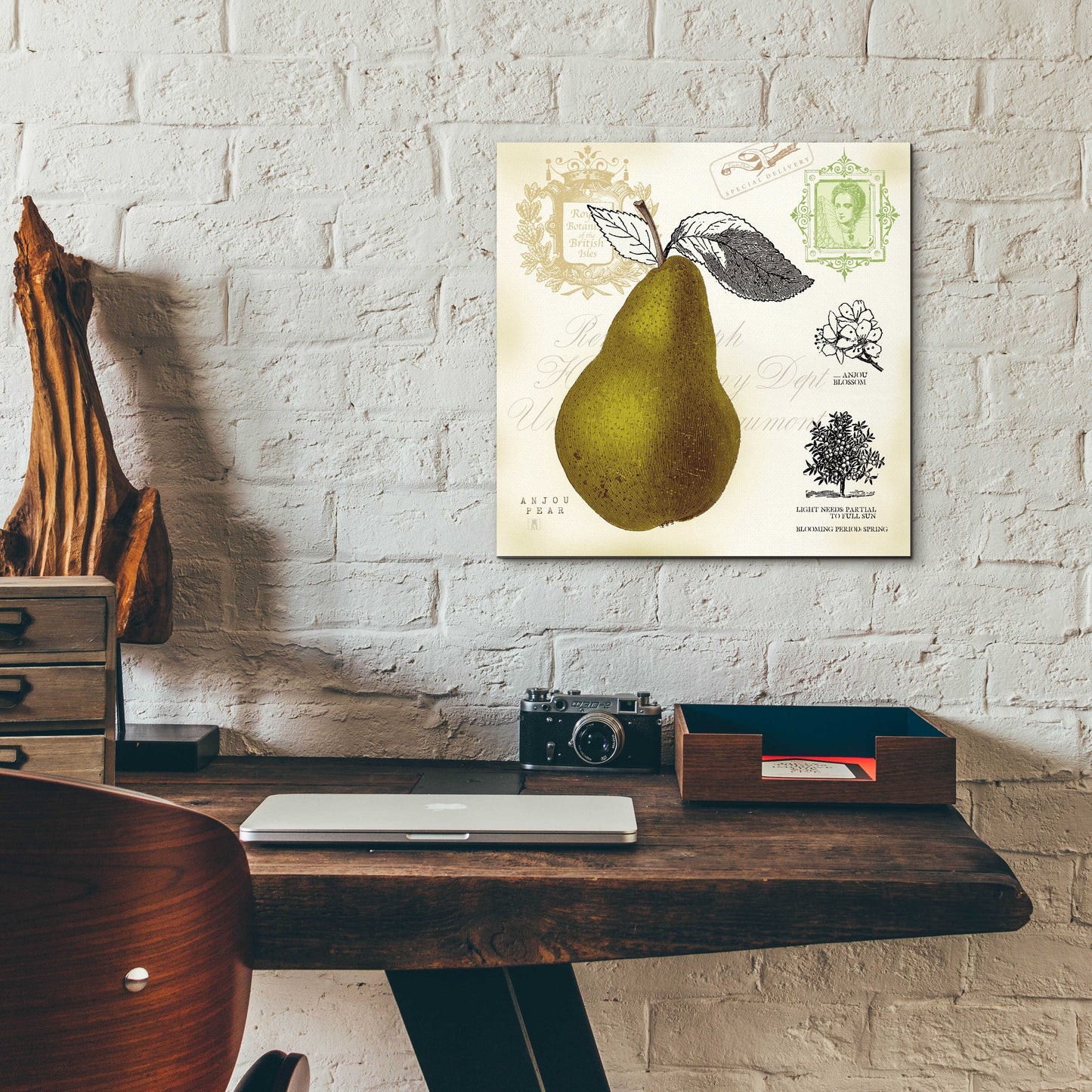 Epic Art 'Pear Notes' by Studio Mousseau, Acrylic Glass Wall Art,12x12