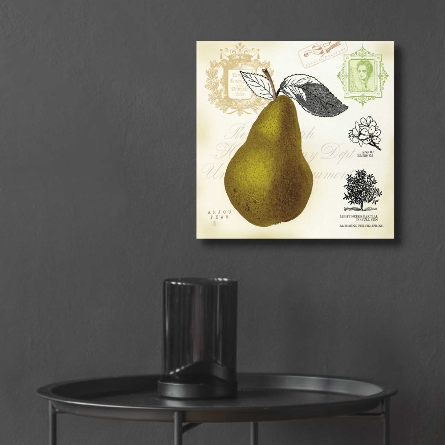 Epic Art 'Pear Notes' by Studio Mousseau, Acrylic Glass Wall Art,12x12