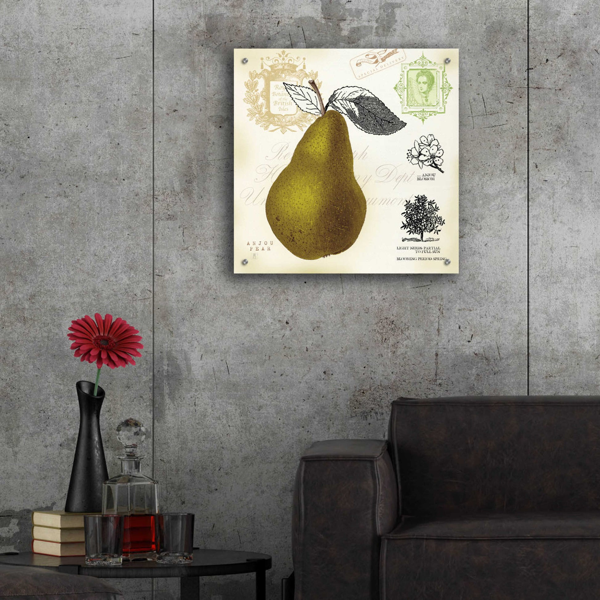 Epic Art 'Pear Notes' by Studio Mousseau, Acrylic Glass Wall Art,24x24