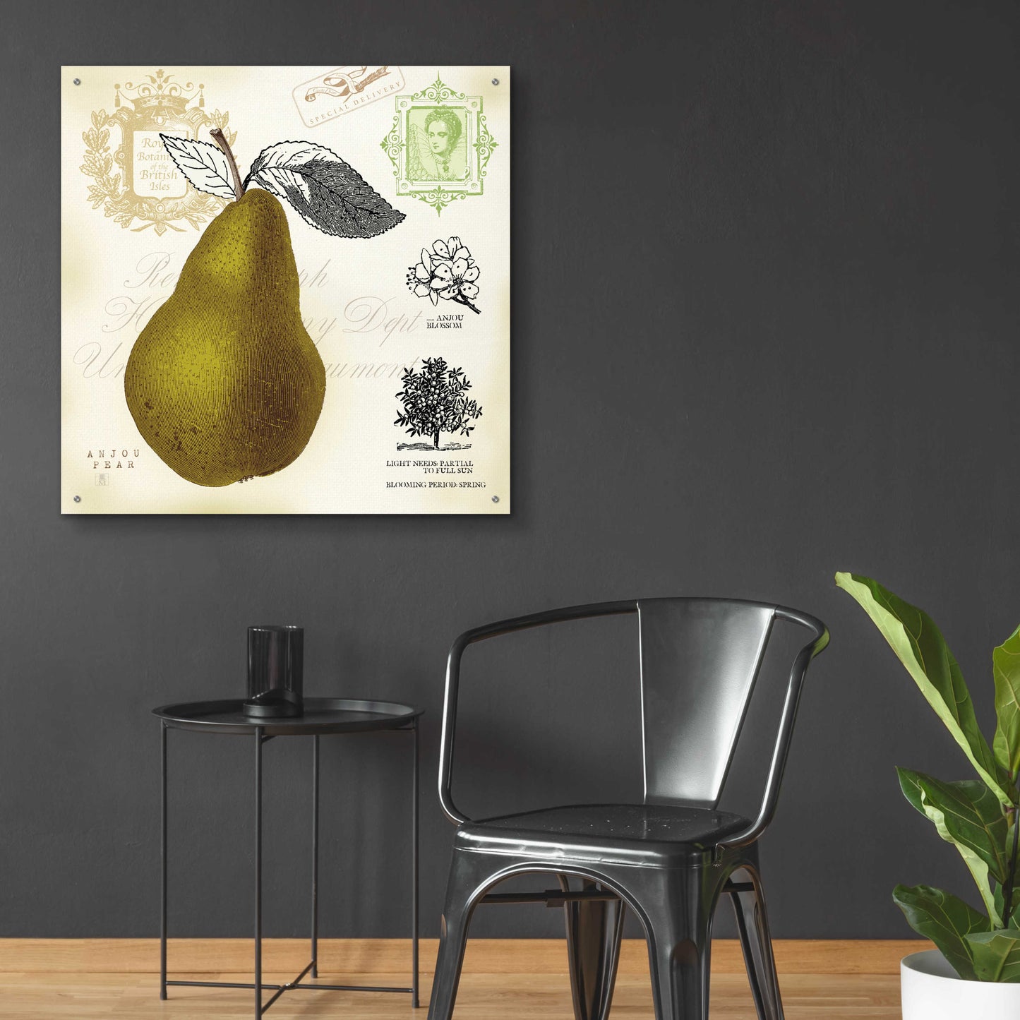 Epic Art 'Pear Notes' by Studio Mousseau, Acrylic Glass Wall Art,36x36