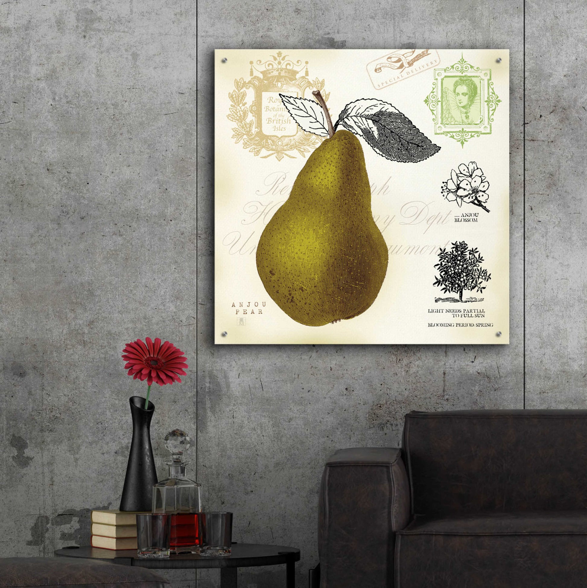 Epic Art 'Pear Notes' by Studio Mousseau, Acrylic Glass Wall Art,36x36