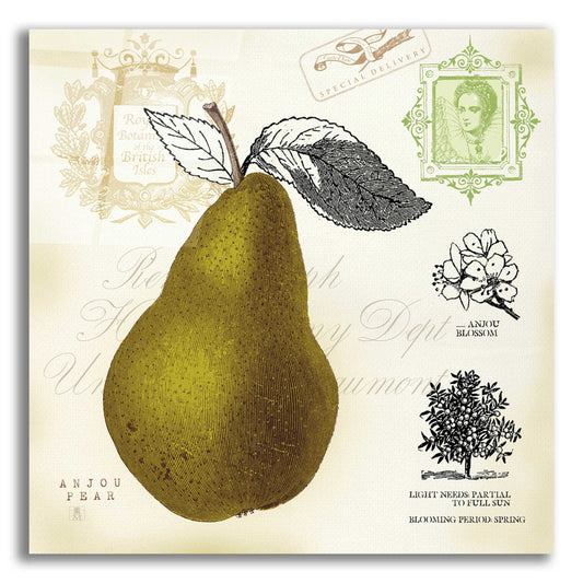 Epic Art 'Pear Notes' by Studio Mousseau, Acrylic Glass Wall Art