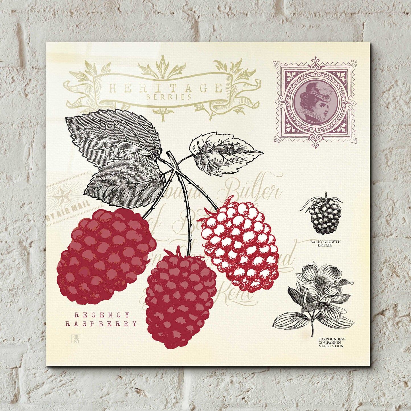 Epic Art 'Raspberry Notes' by Studio Mousseau, Acrylic Glass Wall Art,12x12