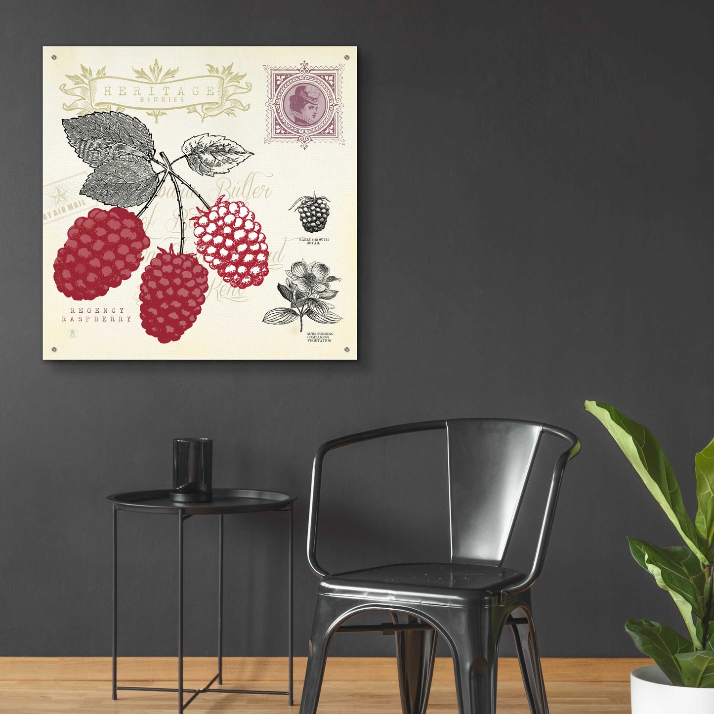 Epic Art 'Raspberry Notes' by Studio Mousseau, Acrylic Glass Wall Art,36x36