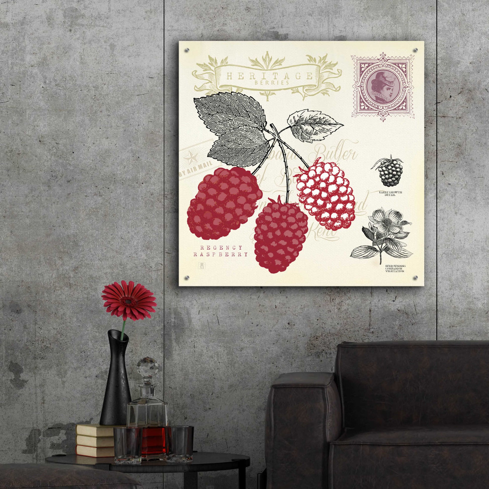 Epic Art 'Raspberry Notes' by Studio Mousseau, Acrylic Glass Wall Art,36x36