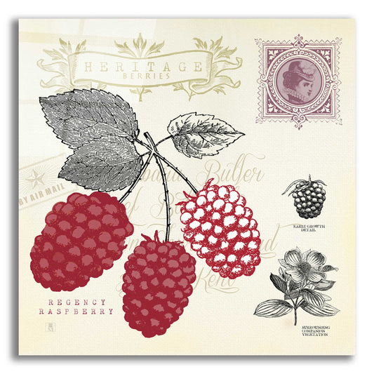 Epic Art 'Raspberry Notes' by Studio Mousseau, Acrylic Glass Wall Art